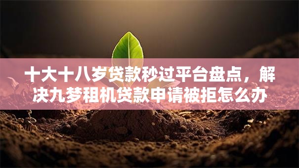 十大十八岁贷款秒过平台盘点,解决九梦租机贷款申请被拒怎么办的问题 十大十八岁贷款秒过平台盘点,解决九梦租机贷款申请被拒怎么办的问题