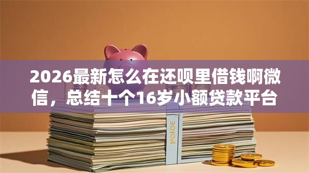 2026最新怎么在还呗里借钱啊微信，总结十个16岁小额贷款平台！