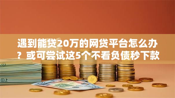 遇到能贷20万的网贷平台怎么办？或可尝试这5个不看负债秒下款的网贷平台