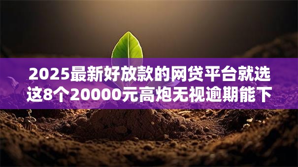 2025最新好放款的网贷平台就选这8个20000元高炮无视逾期能下的软件