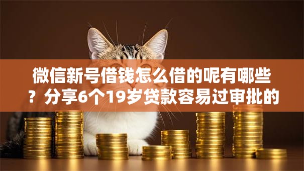 微信新号借钱怎么借的呢有哪些？分享6个19岁贷款容易过审批的口子