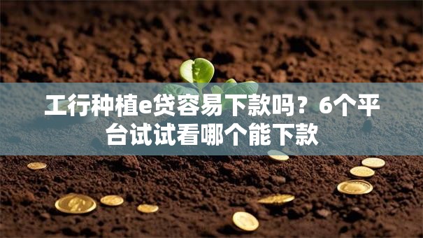 工行种植e贷容易下款吗？6个平台试试看哪个能下款