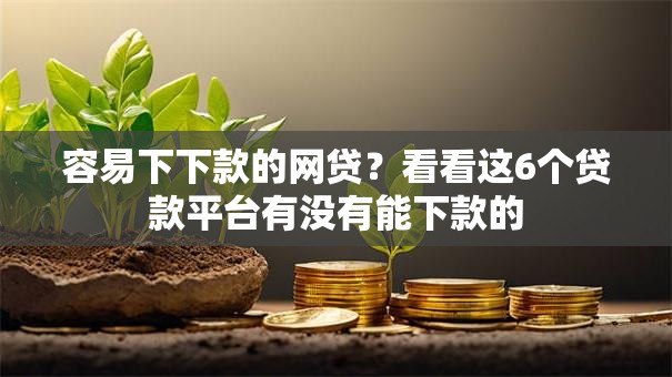 容易下下款的网贷？看看这6个贷款平台有没有能下款的