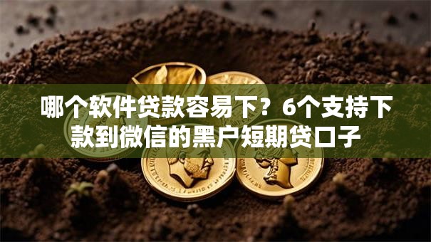 哪个软件贷款容易下？6个支持下款到微信的黑户短期贷口子