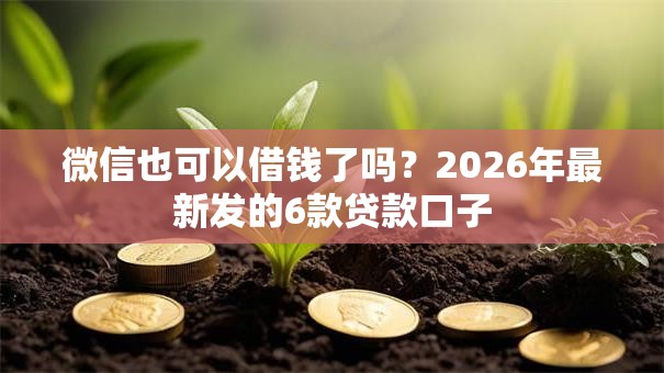 微信也可以借钱了吗?2026年最新发的6款贷款口子 微信也可以借钱了吗?2026年最新发的6款贷款口子