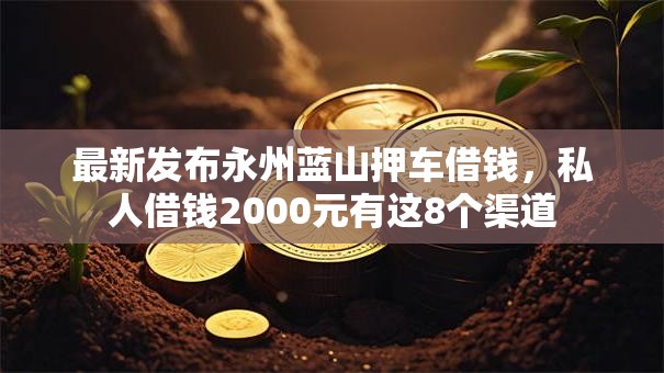 最新发布永州蓝山押车借钱，私人借钱2000元有这8个渠道