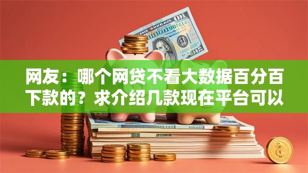 网友：哪个网贷不看大数据百分百下款的？求介绍几款现在平台可以下款