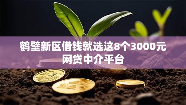 鹤壁新区借钱就选这8个3000元网贷中介平台