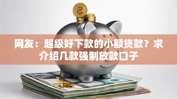 网友：超级好下款的小额贷款？求介绍几款强制放款口子