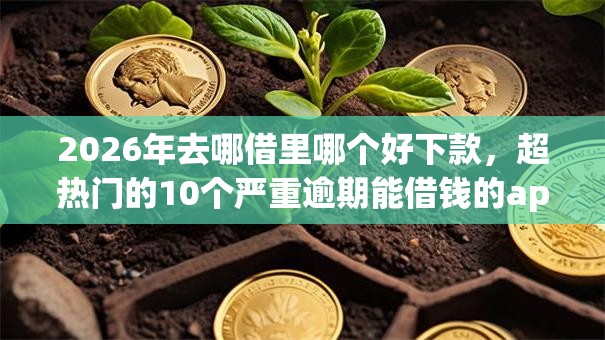 2026年去哪借里哪个好下款，超热门的10个严重逾期能借钱的app网黑口子推荐