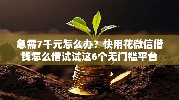 急需7千元怎么办?快用花微信借钱怎么借试试这6个无门槛平台 急需7千元怎么办?快用花微信借钱怎么借试试这6个无门槛平台