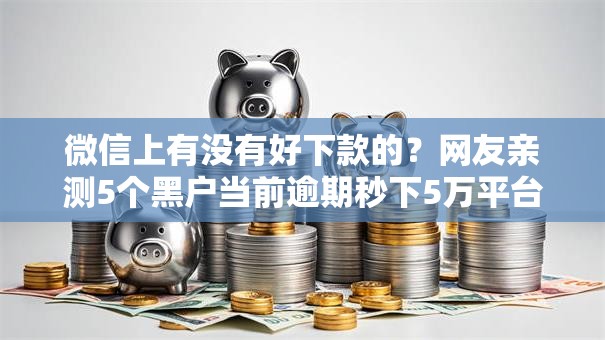 微信上有没有好下款的？网友亲测5个黑户当前逾期秒下5万平台盘点