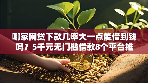 哪家网贷下款几率大一点能借到钱吗？5千元无门槛借款8个平台推荐