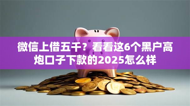 微信上借五千？看看这6个黑户高炮口子下款的2025怎么样