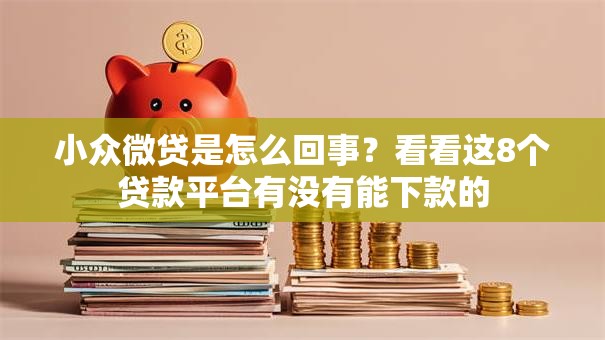 小众微贷是怎么回事？看看这8个贷款平台有没有能下款的