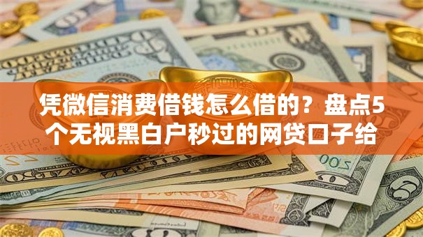 凭微信消费借钱怎么借的?盘点5个无视黑白户秒过的网贷口子给你参考 凭微信消费借钱怎么借的?盘点5个无视黑白户秒过的网贷口子给你参考
