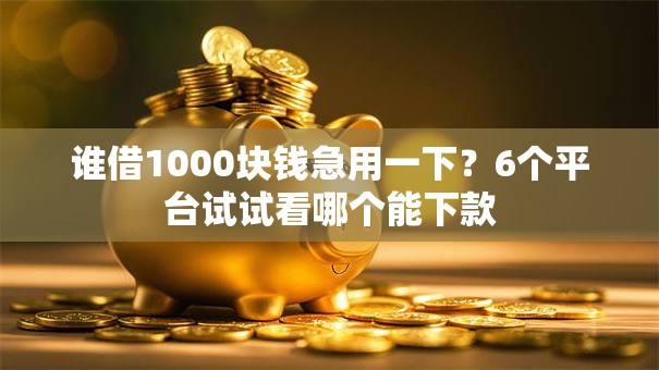 谁借1000块钱急用一下？6个平台试试看哪个能下款