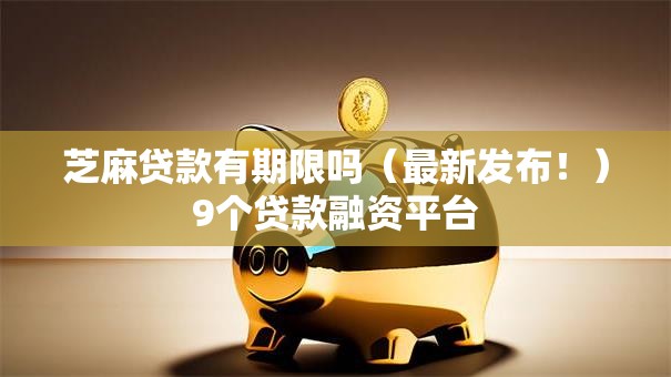芝麻贷款有期限吗（最新发布！）9个贷款融资平台