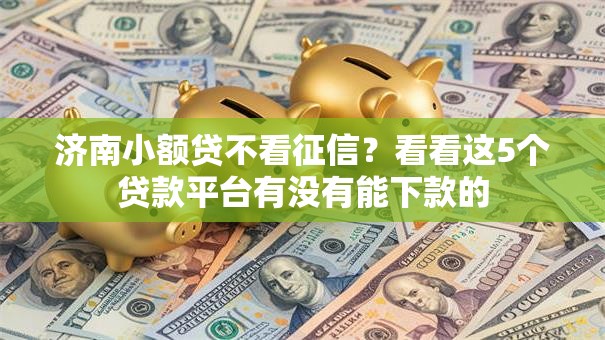 济南小额贷不看征信？看看这5个贷款平台有没有能下款的