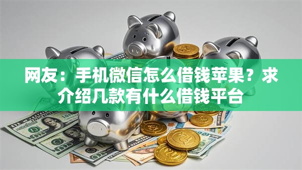 网友：手机微信怎么借钱苹果？求介绍几款有什么借钱平台