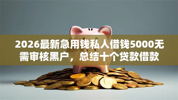 2026最新急用钱私人借钱5000无需审核黑户，总结十个贷款借款平台好！
