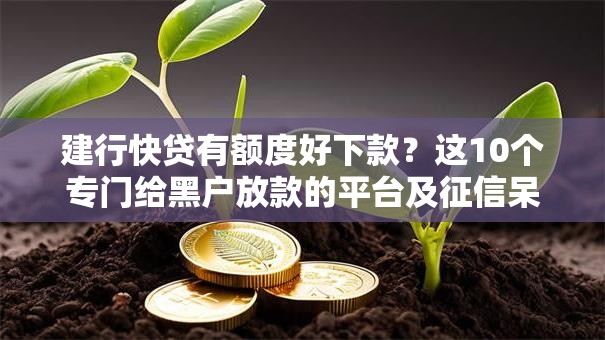 建行快贷有额度好下款?这10个专门给黑户放款的平台及征信呆账相关值得一试 建行快贷有额度好下款?这10个专门给黑户放款的平台及征信呆账相关值得一试