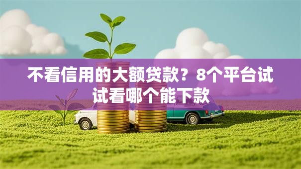 不看信用的大额贷款？8个平台试试看哪个能下款