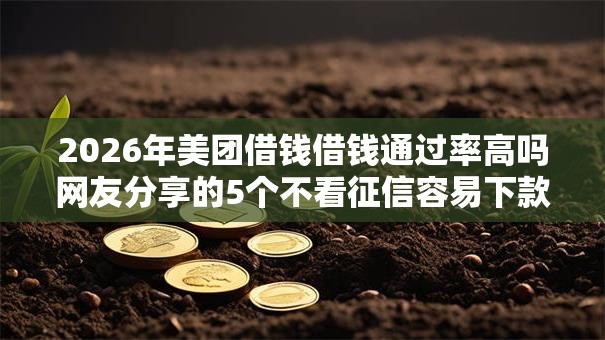 2026年美团借钱借钱通过率高吗网友分享的5个不看征信容易下款的口子我觉得不错！