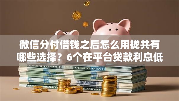 微信分付借钱之后怎么用拢共有哪些选择？6个在平台贷款利息低又安全详解
