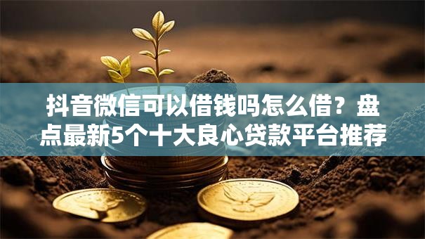 抖音微信可以借钱吗怎么借？盘点最新5个十大良心贷款平台推荐