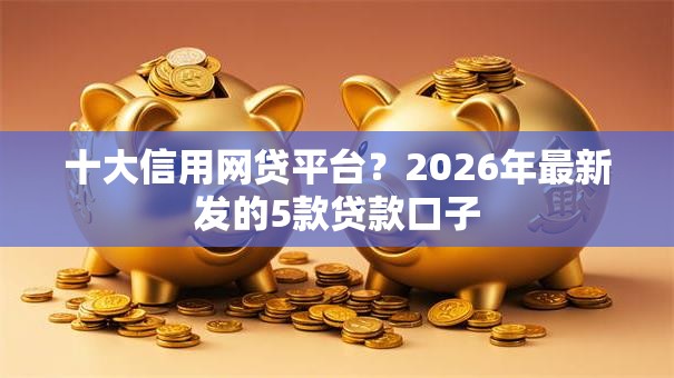 十大信用网贷平台？2026年最新发的5款贷款口子