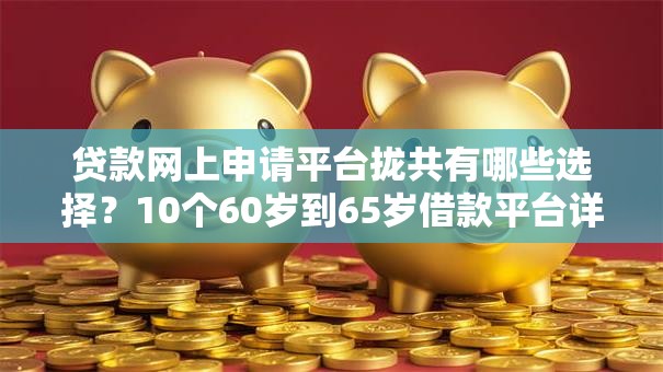贷款网上申请平台拢共有哪些选择？10个60岁到65岁借款平台详解