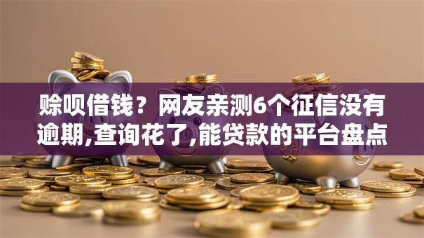 赊呗借钱？网友亲测6个征信没有逾期,查询花了,能贷款的平台盘点