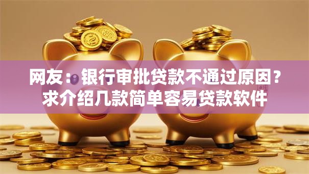 网友：银行审批贷款不通过原因？求介绍几款简单容易贷款软件