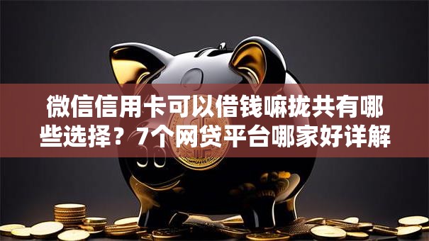 微信信用卡可以借钱嘛拢共有哪些选择？7个网贷平台哪家好详解