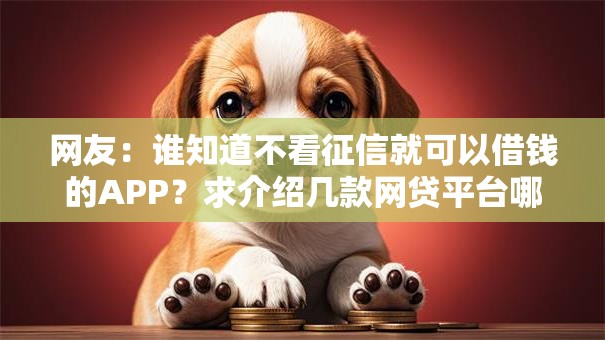网友：谁知道不看征信就可以借钱的APP？求介绍几款网贷平台哪些好