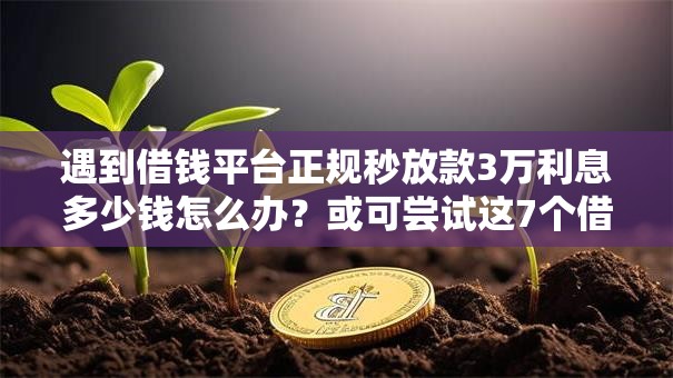 遇到借钱平台正规秒放款3万利息多少钱怎么办？或可尝试这7个借条贷款平台