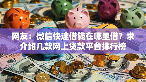 网友：微信快速借钱在哪里借？求介绍几款网上贷款平台排行榜