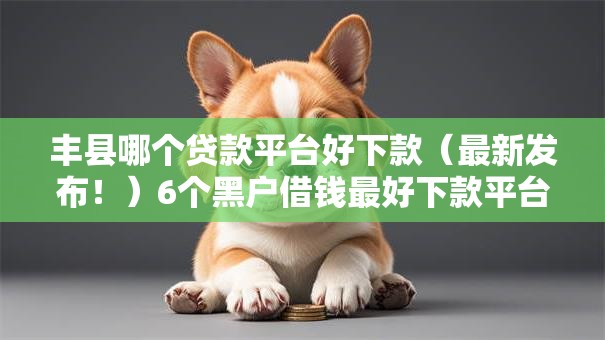 丰县哪个贷款平台好下款（最新发布！）6个黑户借钱最好下款平台