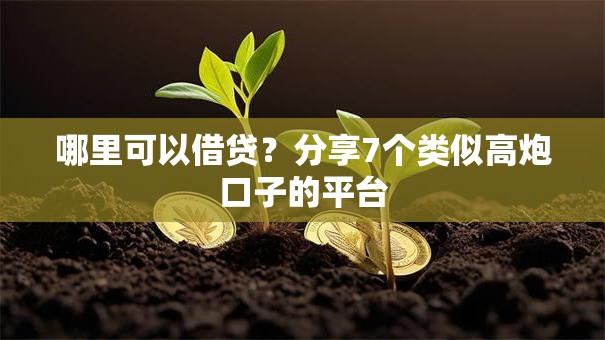 哪里可以借贷？分享7个类似高炮口子的平台
