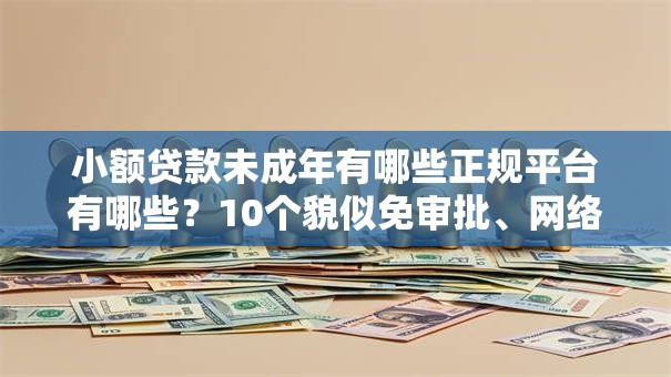 小额贷款未成年有哪些正规平台有哪些？10个貌似免审批、网络平台借钱比较可靠合集