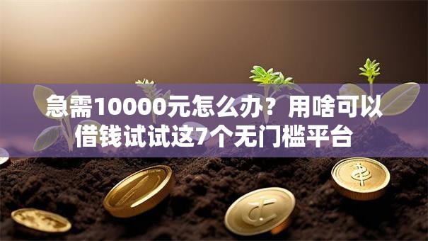 急需10000元怎么办?用啥可以借钱试试这7个无门槛平台 急需10000元怎么办?用啥可以借钱试试这7个无门槛平台