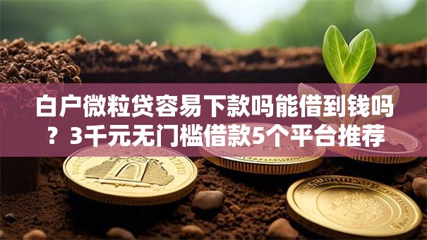 白户微粒贷容易下款吗能借到钱吗？3千元无门槛借款5个平台推荐