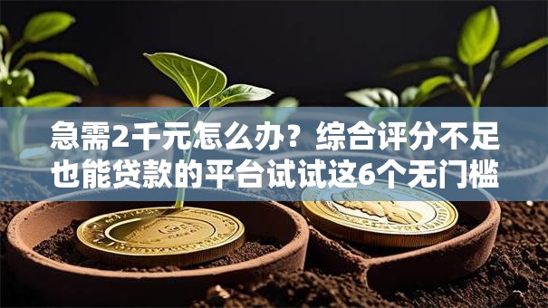 急需2千元怎么办?综合评分不足也能贷款的平台试试这6个无门槛平台 急需2千元怎么办?综合评分不足也能贷款的平台试试这6个无门槛平台