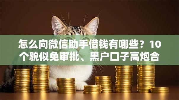 怎么向微信助手借钱有哪些？10个貌似免审批、黑户口子高炮合集