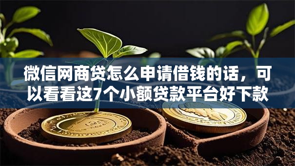 微信网商贷怎么申请借钱的话，可以看看这7个小额贷款平台好下款不看征信
