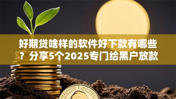 好期贷啥样的软件好下款有哪些？分享5个2025专门给黑户放款的平台