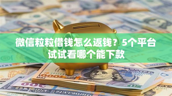 微信粒粒借钱怎么返钱?5个平台试试看哪个能下款 微信粒粒借钱怎么返钱?5个平台试试看哪个能下款