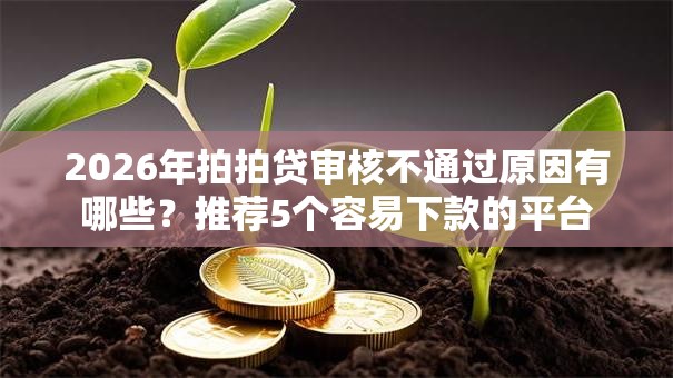 2026年拍拍贷审核不通过原因有哪些？推荐5个容易下款的平台