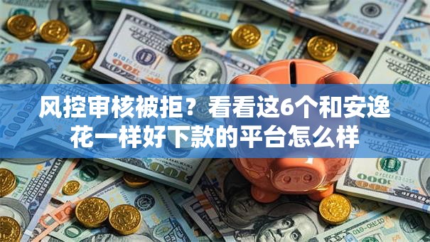 风控审核被拒？看看这6个和安逸花一样好下款的平台怎么样
